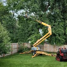 Best Leaf Removal  in Lewisville, TX